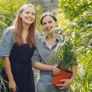 Advanced Quality Blend